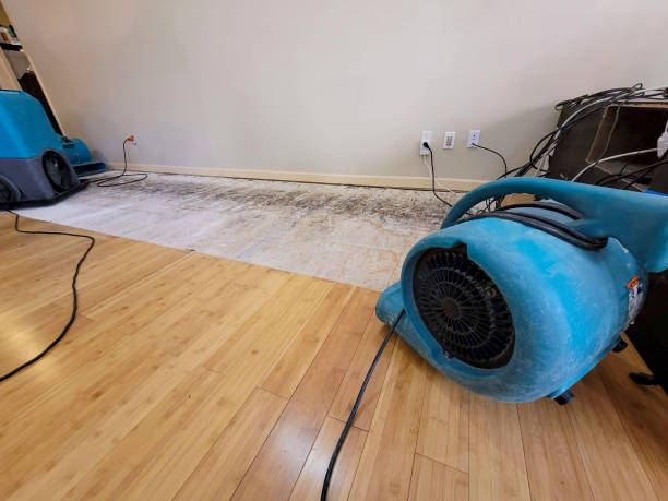 Professional Flood Damage Cleanup technician working in Startex, SC